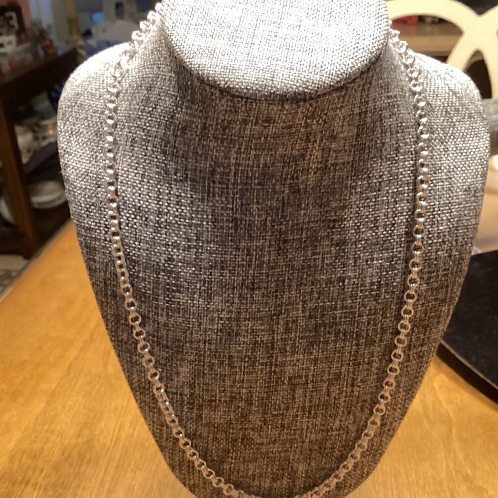 NWOT. Silvertone Double Round Link Necklace 24”